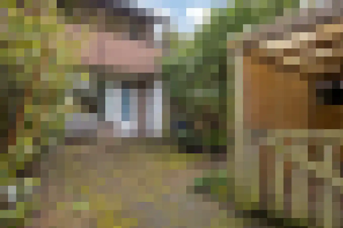 Lauwerbes 2 Leiden thumbnail 33