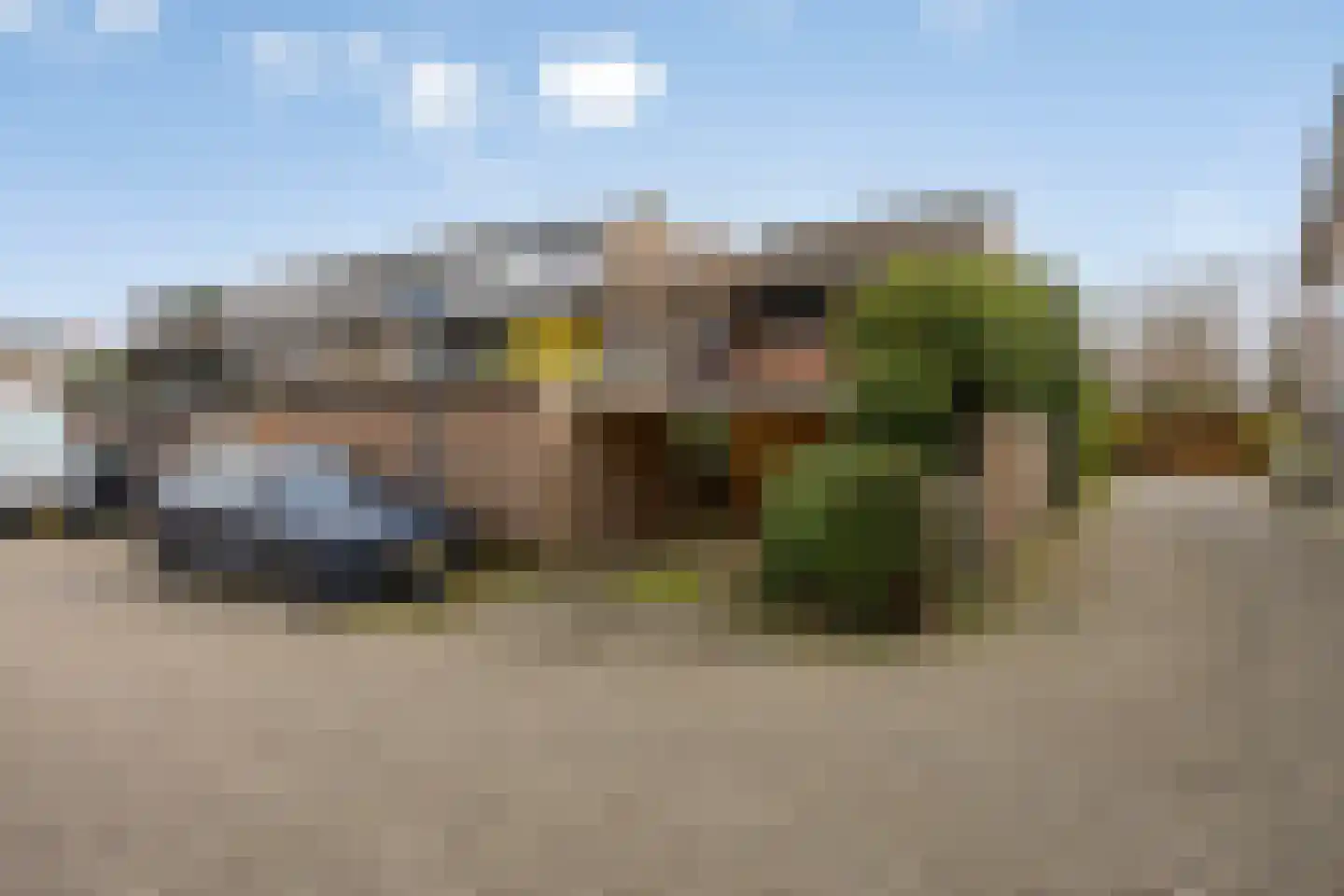 Lauwerbes 2 Leiden thumbnail 35
