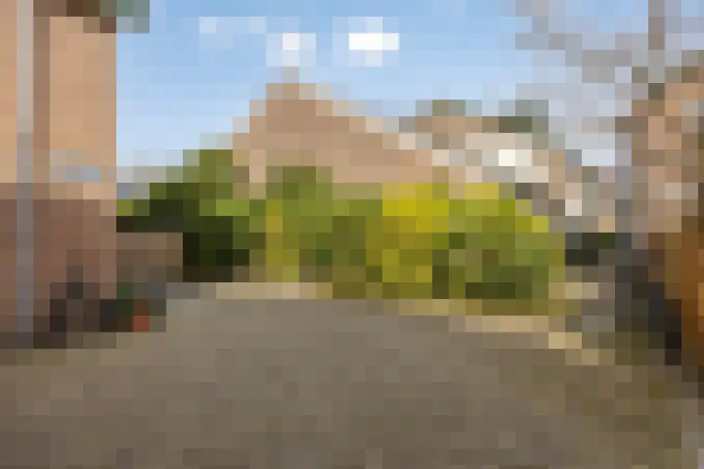 Lauwerbes 2 Leiden thumbnail 36