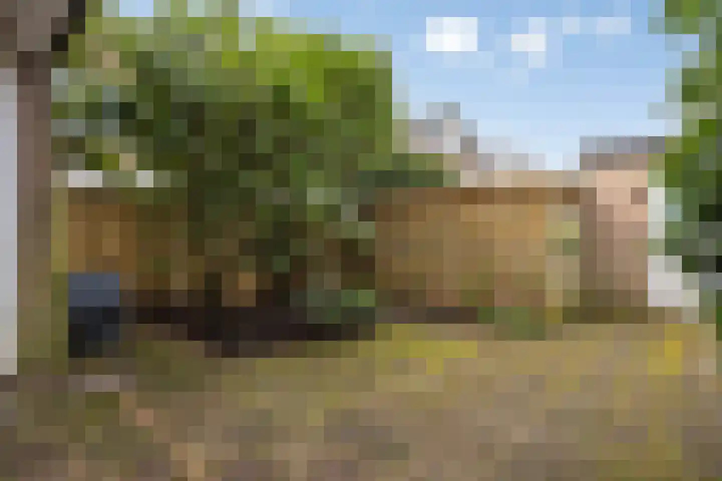 Lauwerbes 2 Leiden thumbnail 6