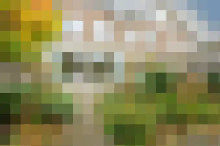 Lauwerbes 3 Leiden thumbnail 16