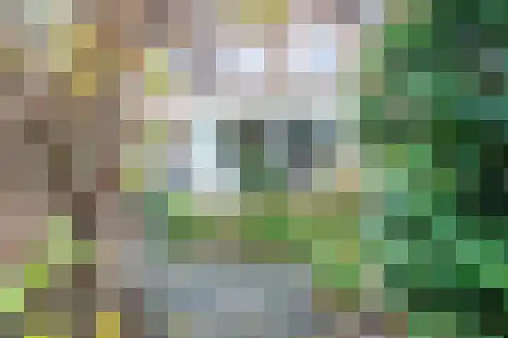 Lauwerbes 3 Leiden thumbnail 18