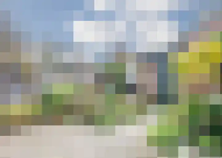 Lauwerbes 3 Leiden thumbnail 19