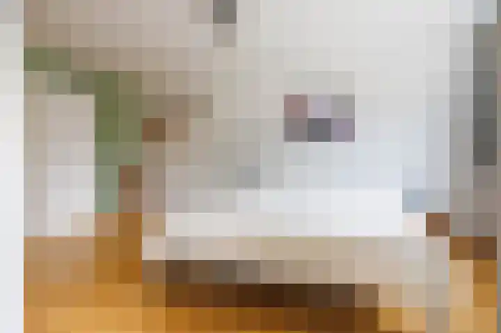Lauwerbes 3 Leiden thumbnail 24