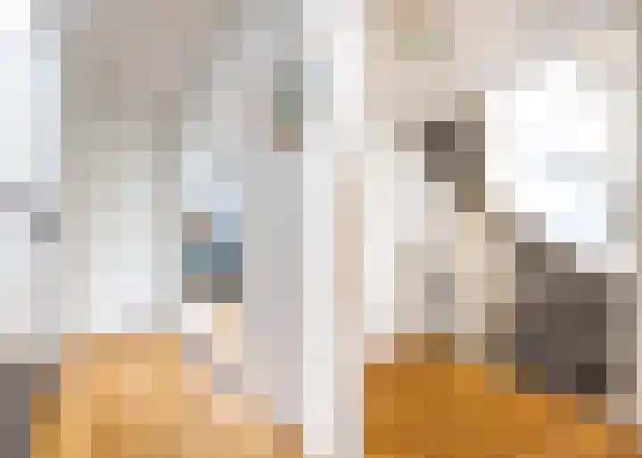 Lauwerbes 3 Leiden thumbnail 25
