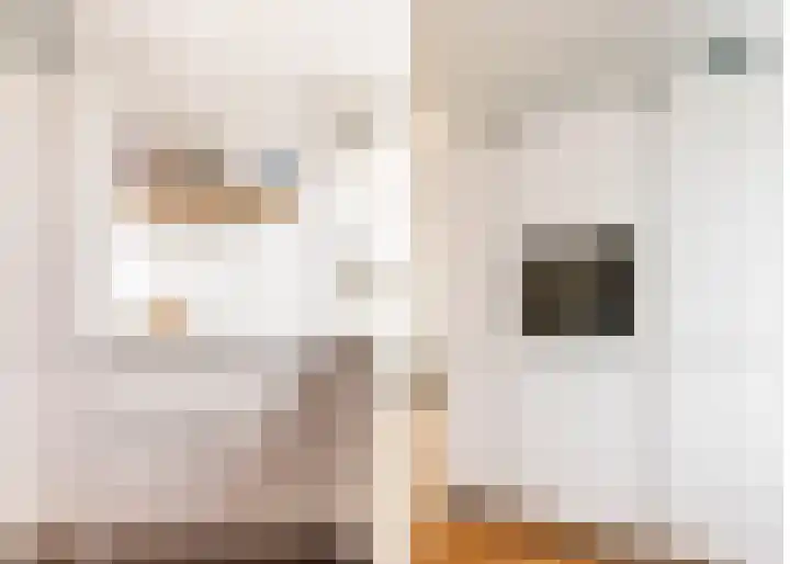 Lauwerbes 3 Leiden thumbnail 9
