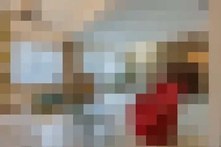 Lauwere 102 Uden thumbnail 10