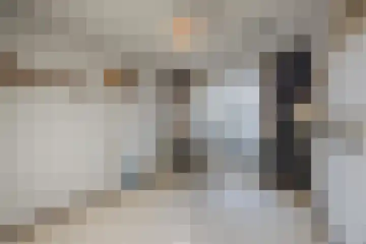 Lauwere 102 Uden thumbnail 20