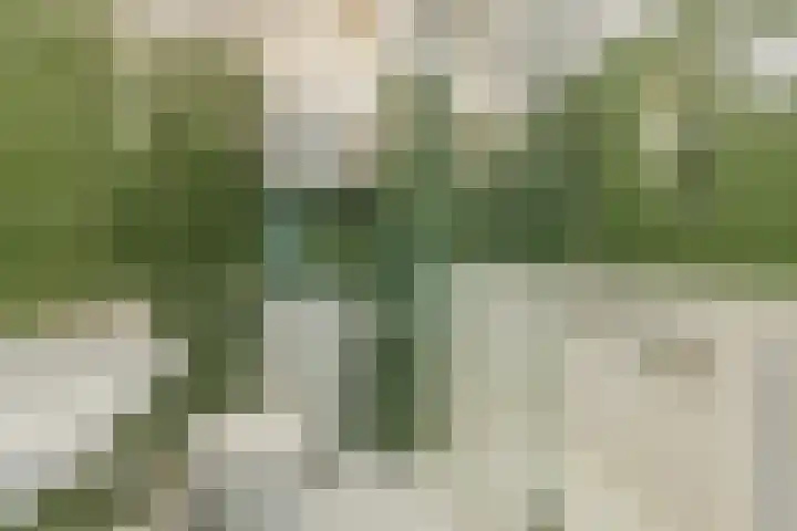 Lauwere 102 Uden thumbnail 29