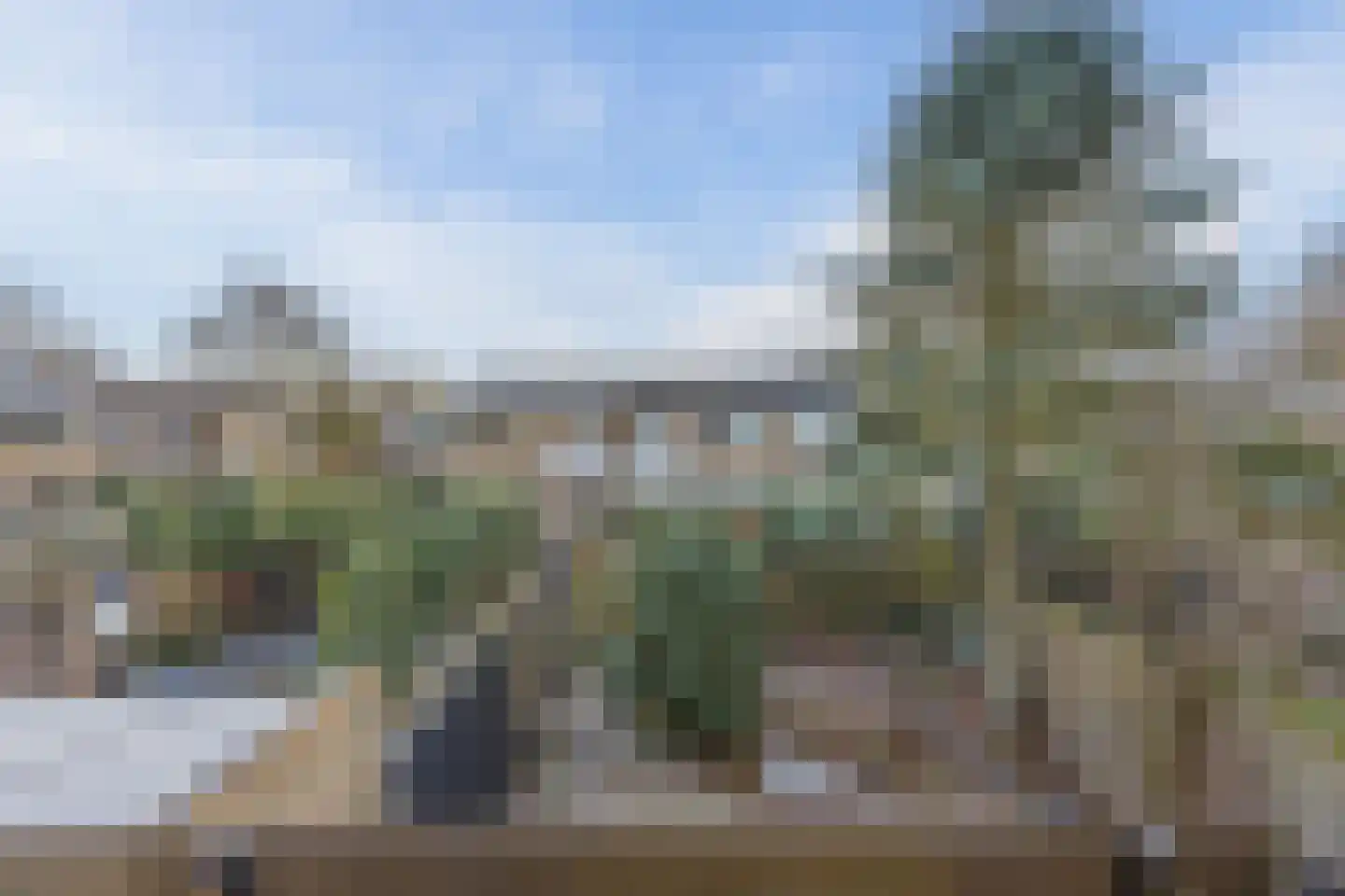 Lauwere 102 Uden thumbnail 31