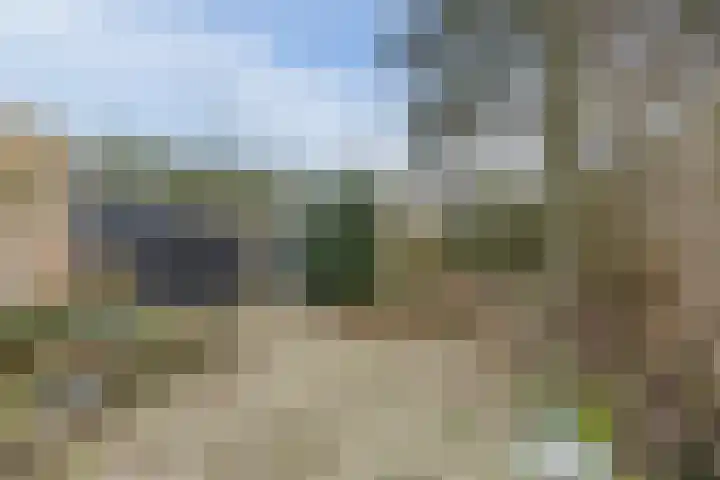 Lauwere 102 Uden thumbnail 39