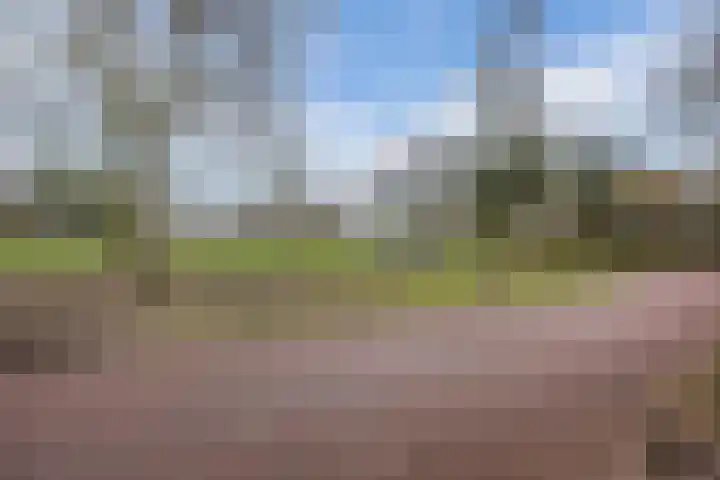 Lauwere 102 Uden thumbnail 43