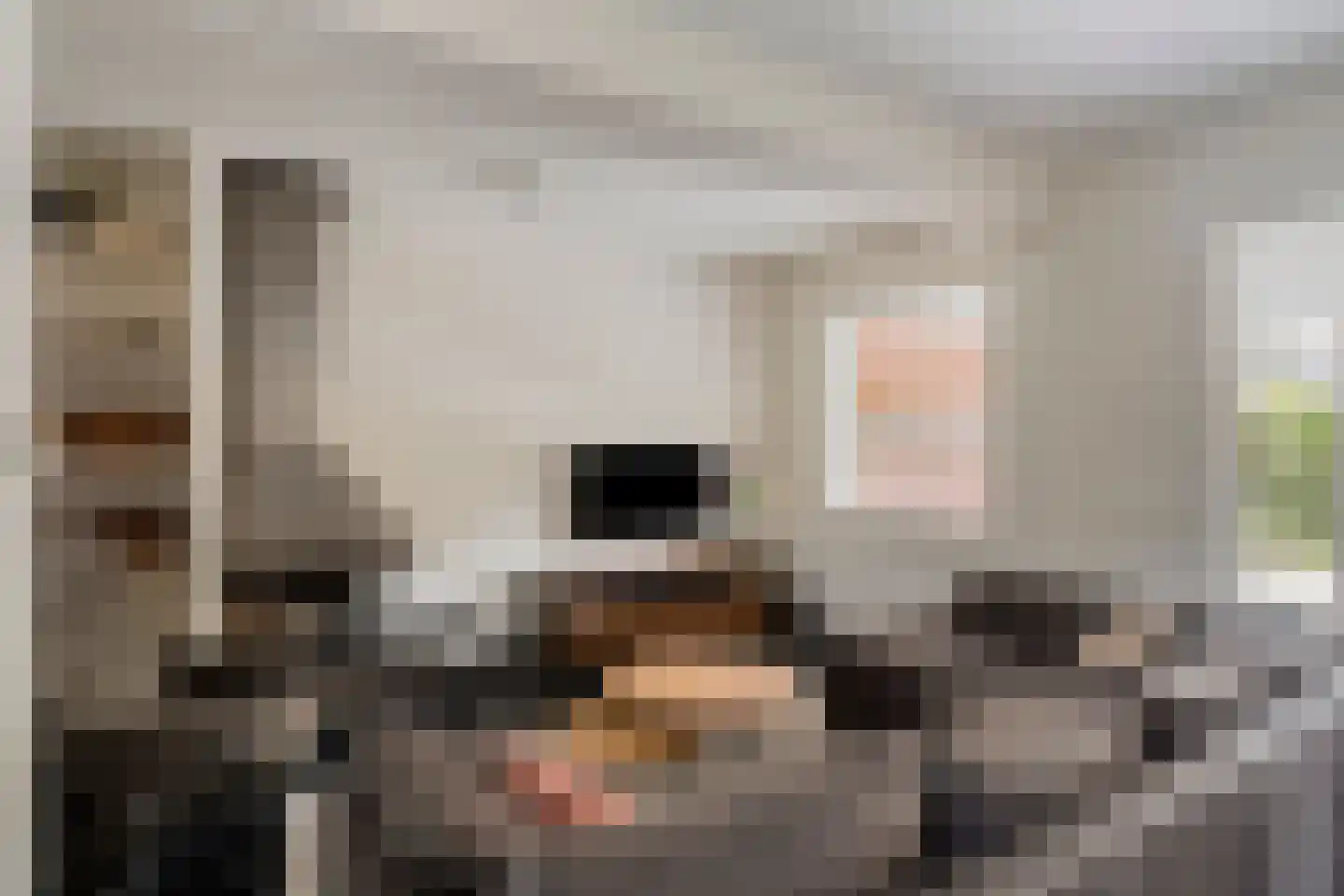 Lauwere 207 Uden thumbnail 10