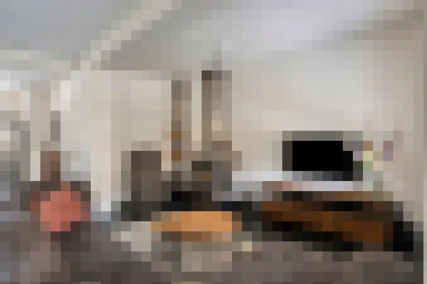 Lauwere 207 Uden thumbnail 11