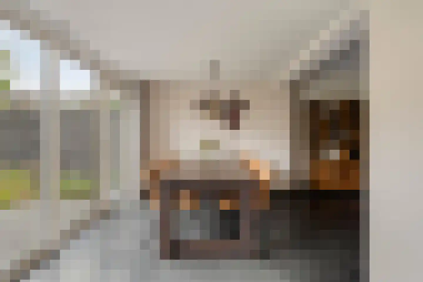 Lauwere 207 Uden thumbnail 12