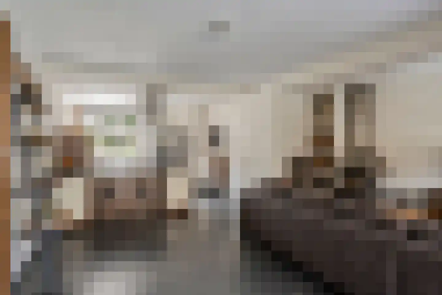 Lauwere 207 Uden thumbnail 15