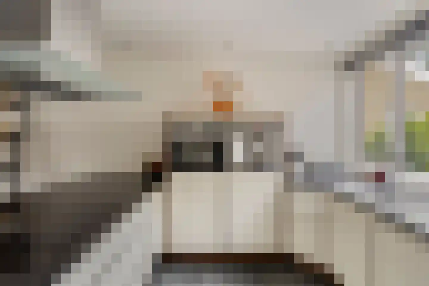 Lauwere 207 Uden thumbnail 18
