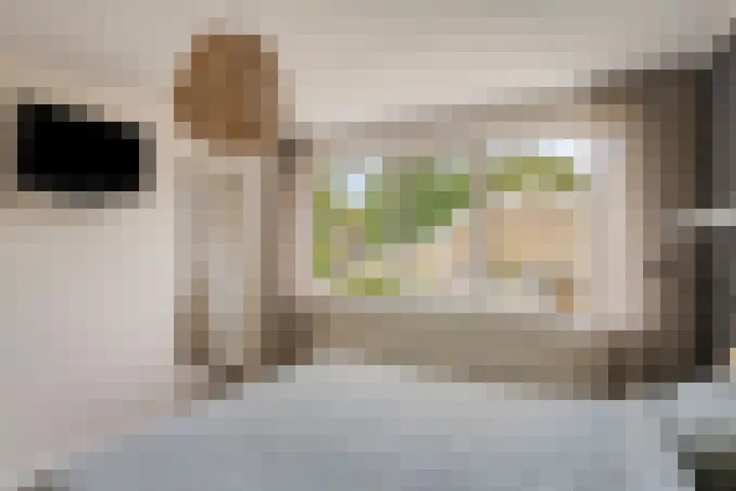 Lauwere 207 Uden thumbnail 26