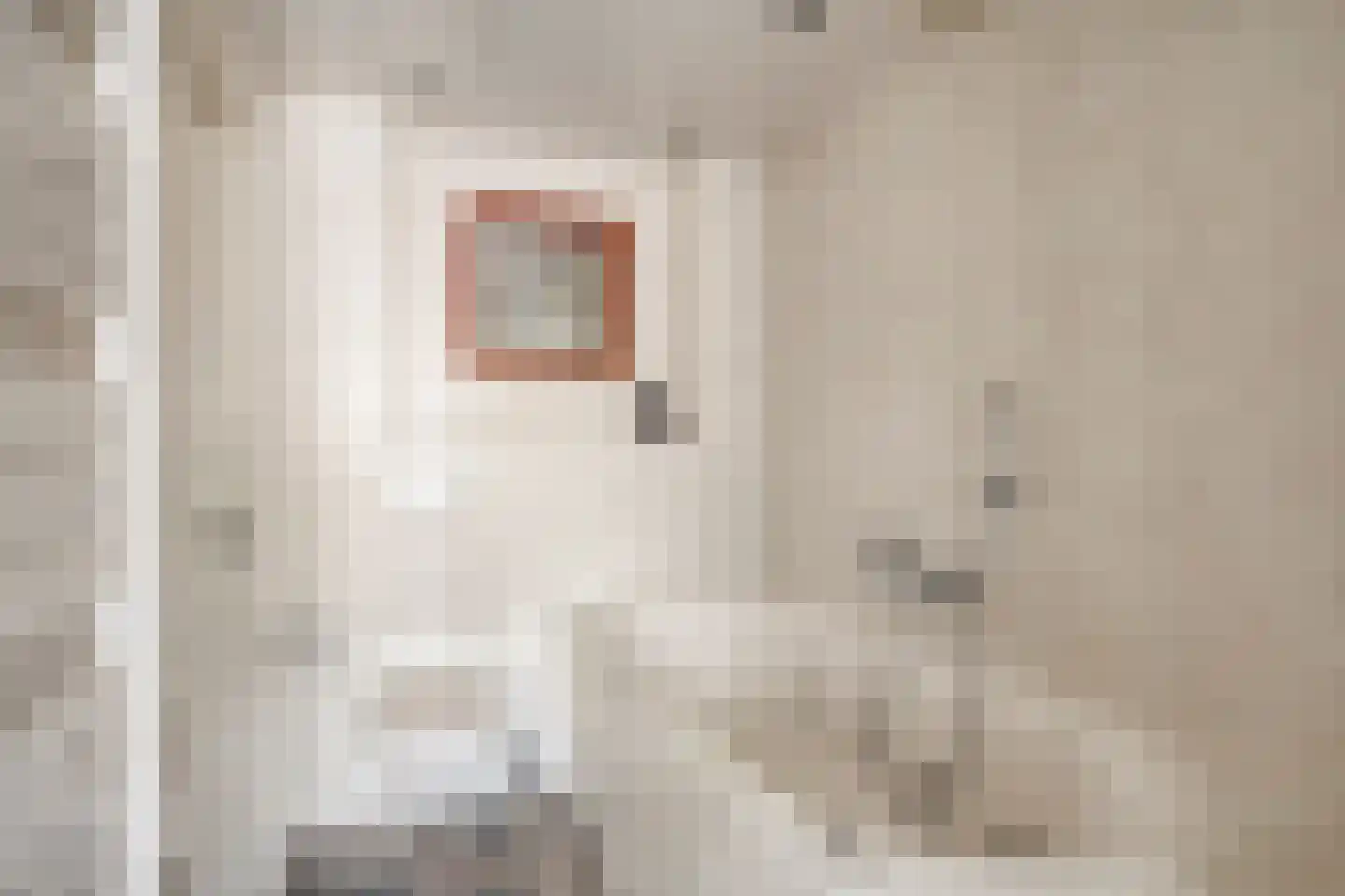 Lauwere 207 Uden thumbnail 30