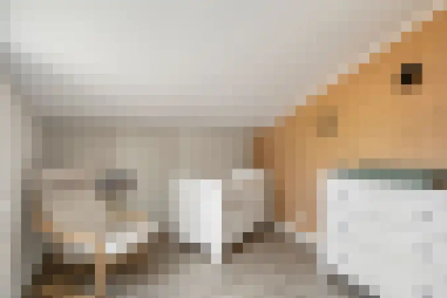 Lauwere 207 Uden thumbnail 33