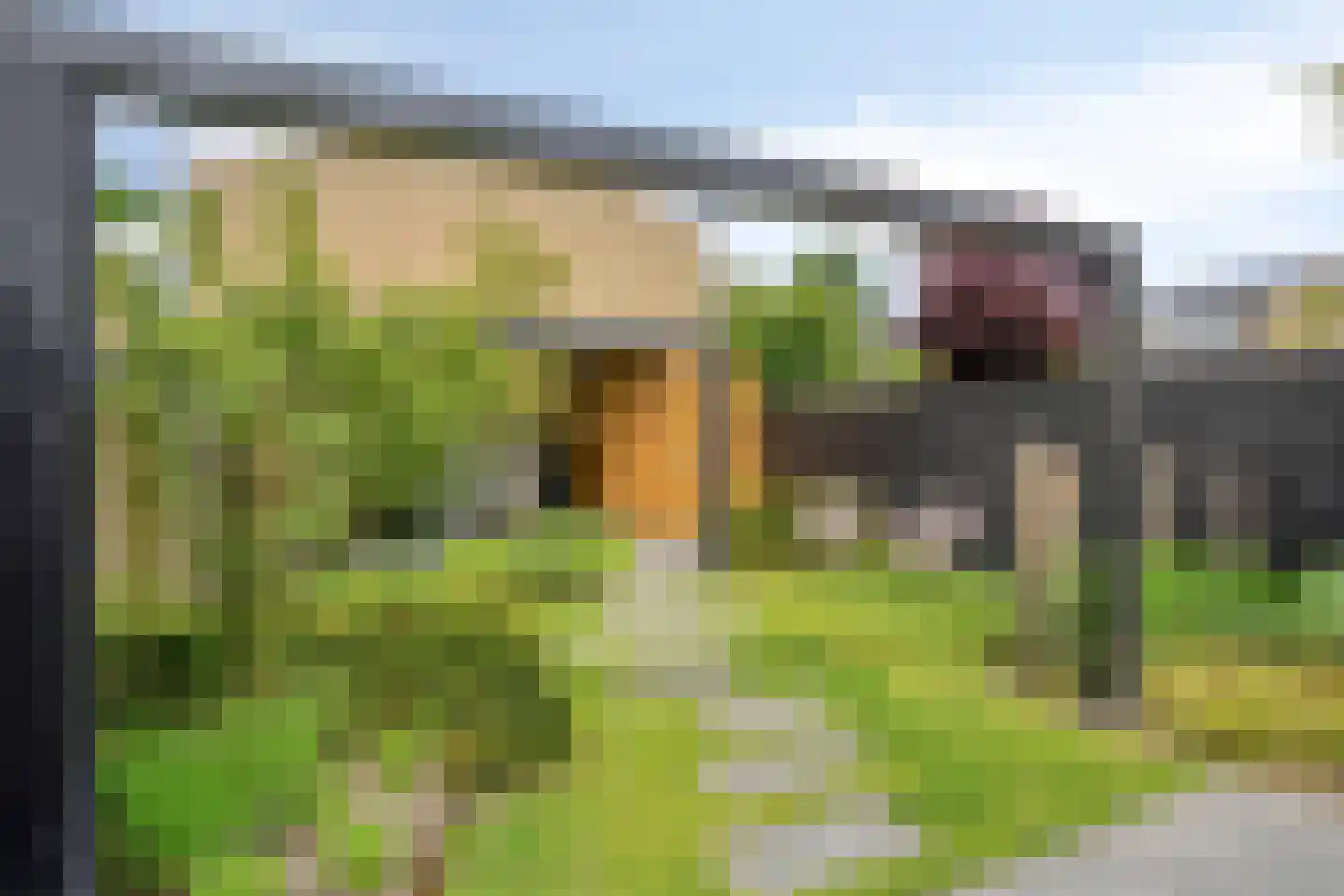 Lauwere 207 Uden thumbnail 40