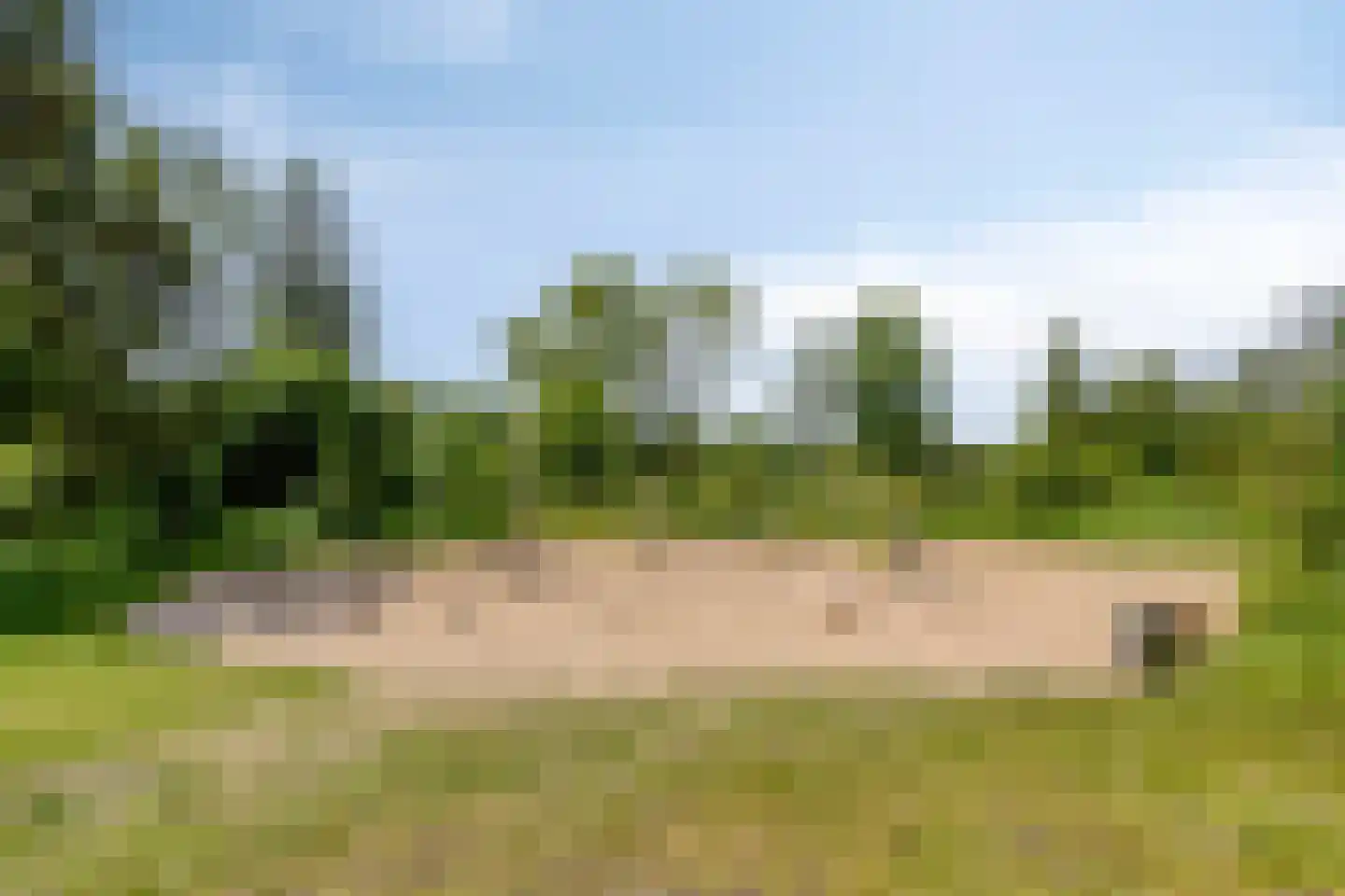 Lauwere 207 Uden thumbnail 46