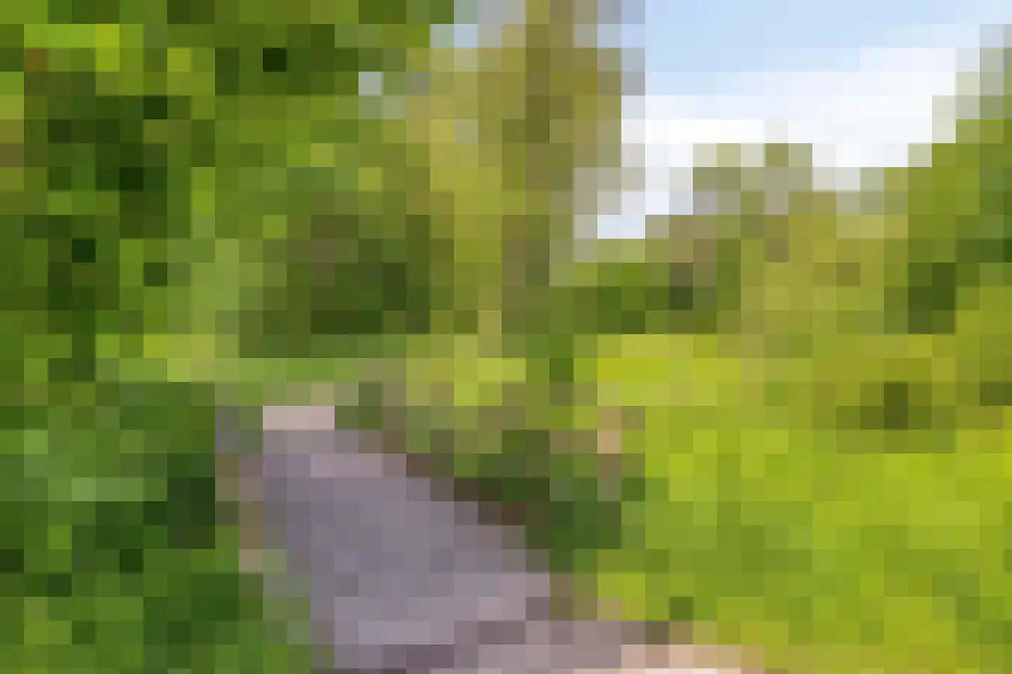 Lauwere 207 Uden thumbnail 47