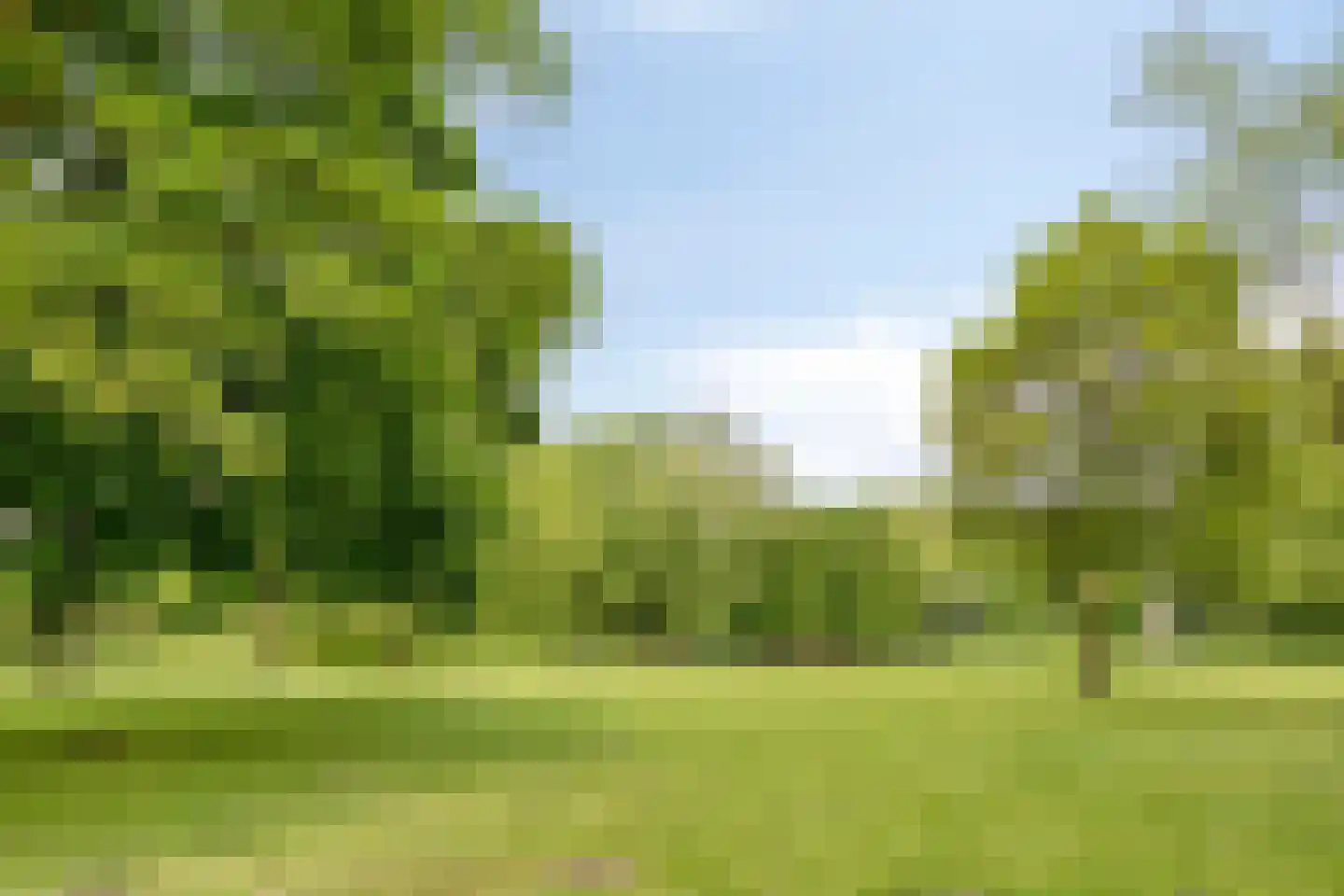 Lauwere 207 Uden thumbnail 48