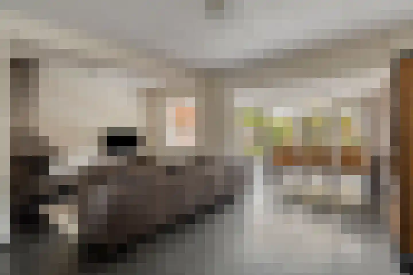 Lauwere 207 Uden thumbnail 8