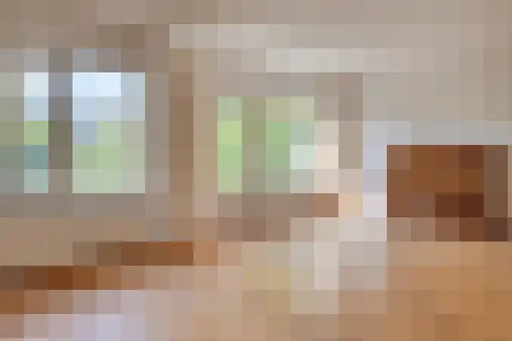 Lauwere 308 Uden thumbnail 11