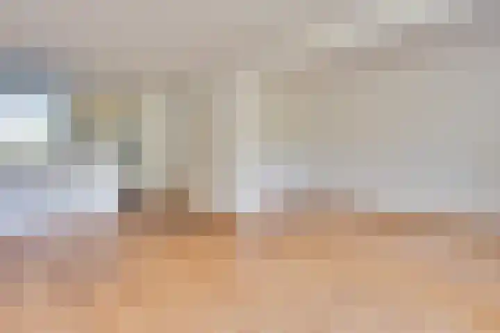 Lauwere 308 Uden thumbnail 13