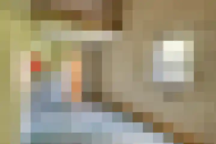 Lauwere 308 Uden thumbnail 17