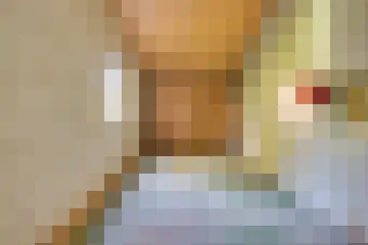 Lauwere 308 Uden thumbnail 18