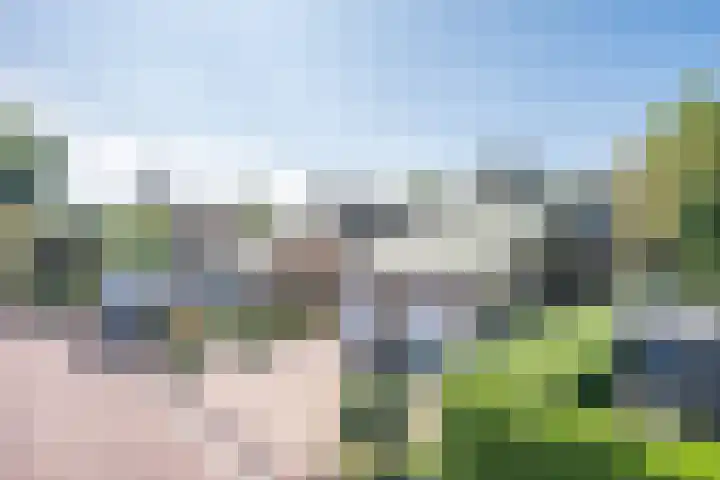Lauwere 308 Uden thumbnail 4