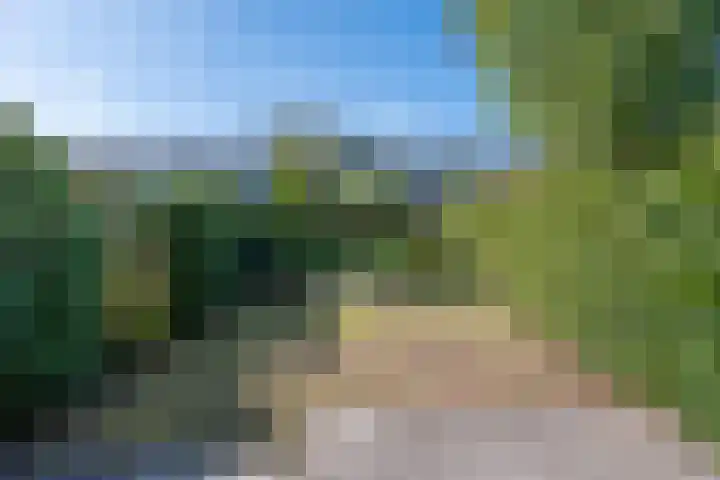 Lauwere 308 Uden thumbnail 8