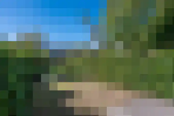 Lauwere 308 Uden thumbnail 9