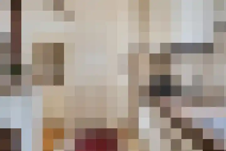 Lauwere 319 Uden thumbnail 16