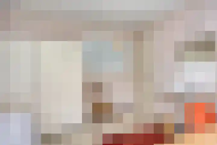 Lauwere 319 Uden thumbnail 18