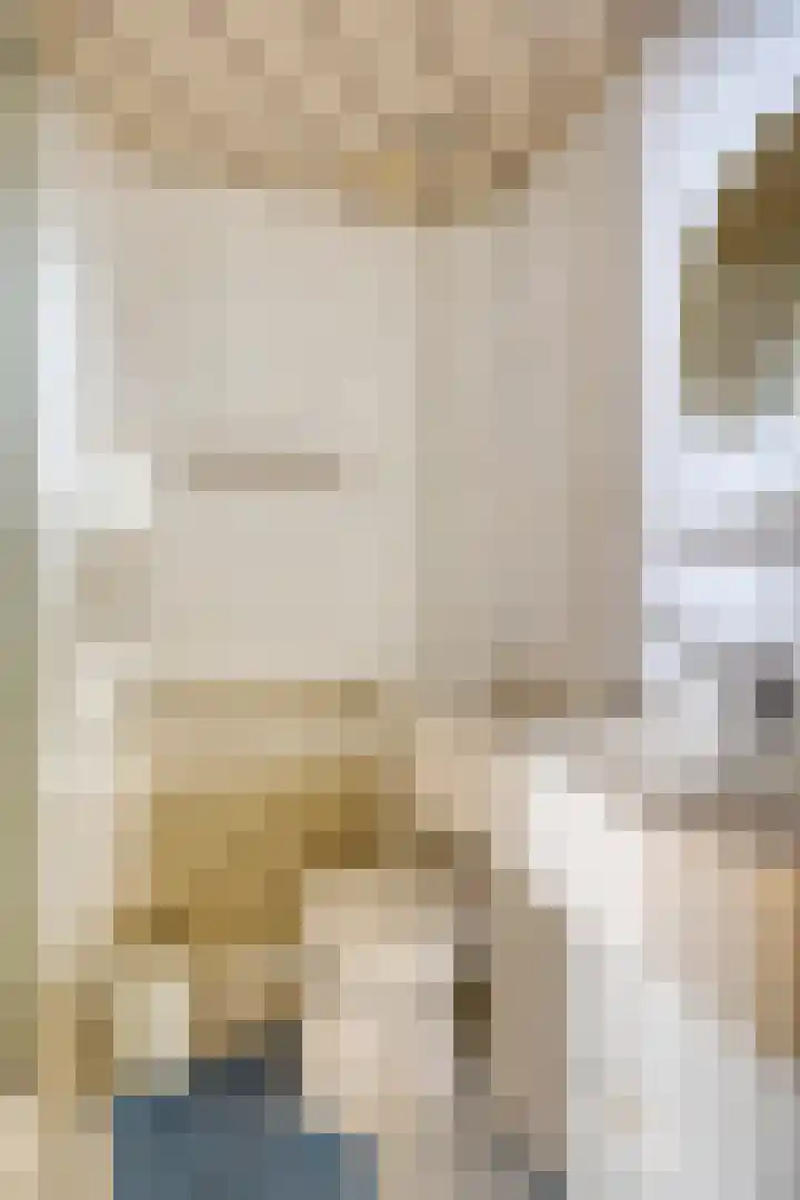 Lauwere 319 Uden thumbnail 22