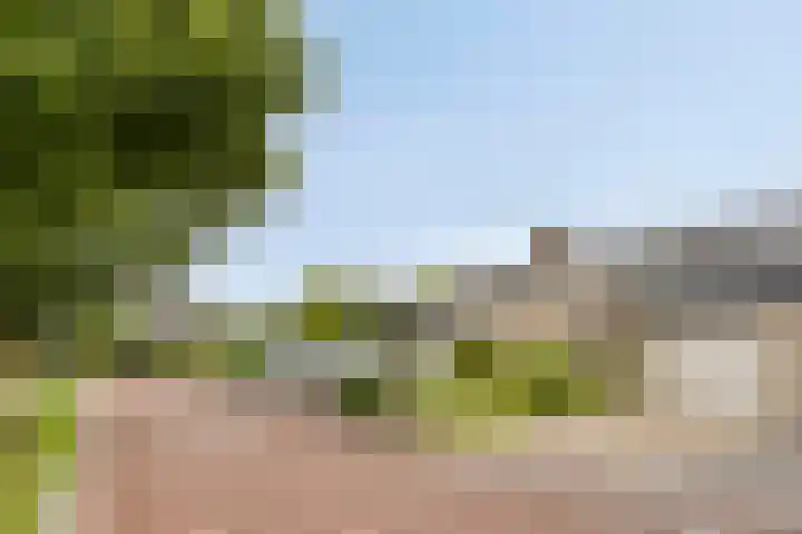Lauwere 319 Uden thumbnail 35