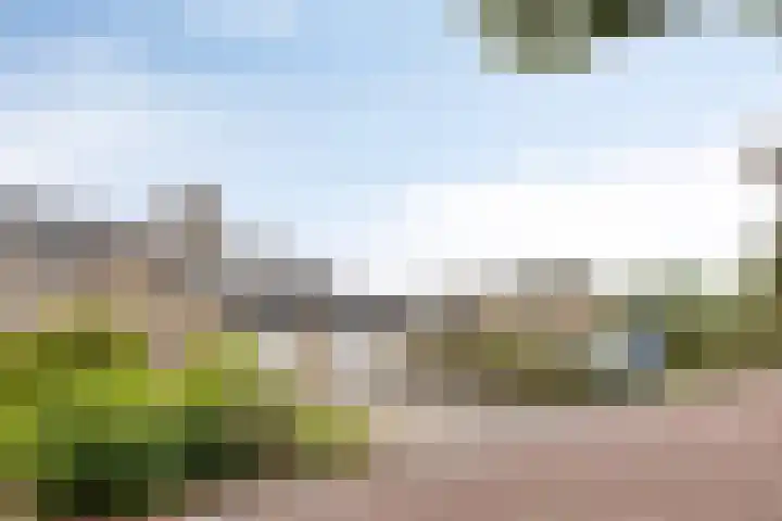 Lauwere 319 Uden thumbnail 36