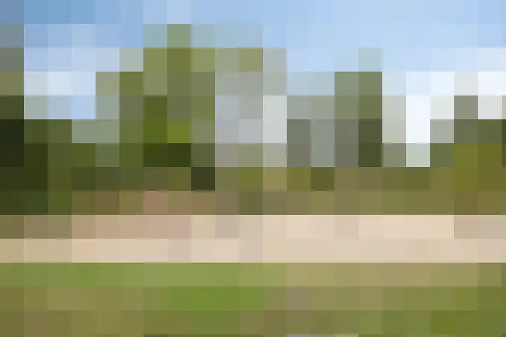 Lauwere 319 Uden thumbnail 40