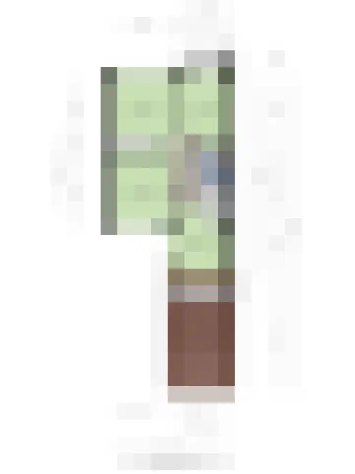 Lauwere 319 Uden thumbnail 42