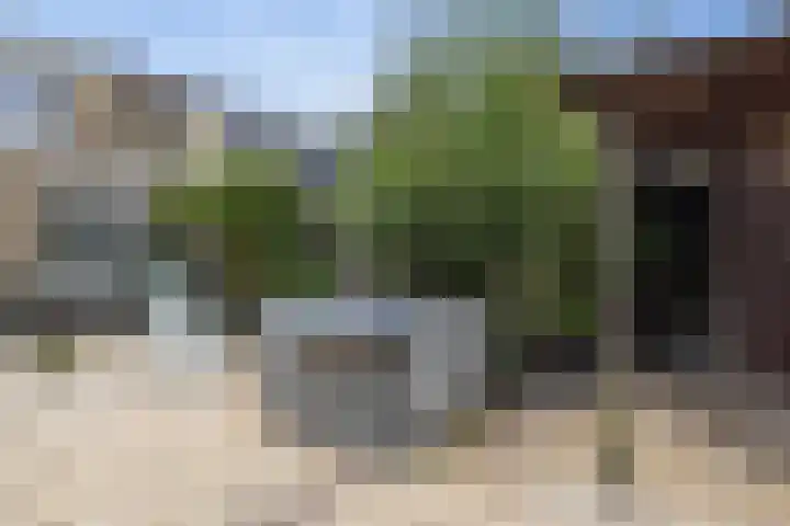 Lauwere 609 Uden thumbnail 29