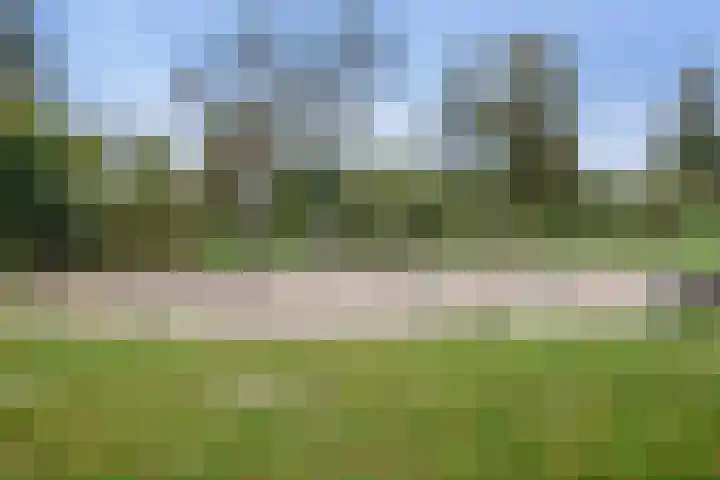 Lauwere 609 Uden thumbnail 35
