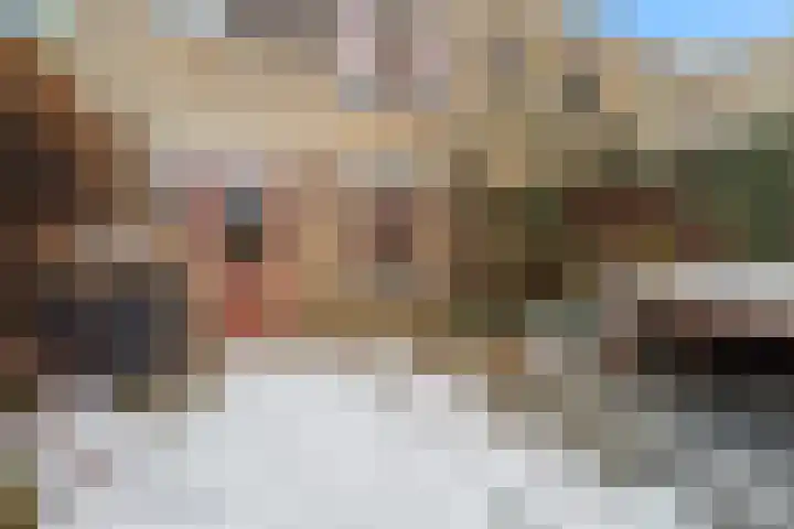 Lauwerecht 103 Utrecht thumbnail 25