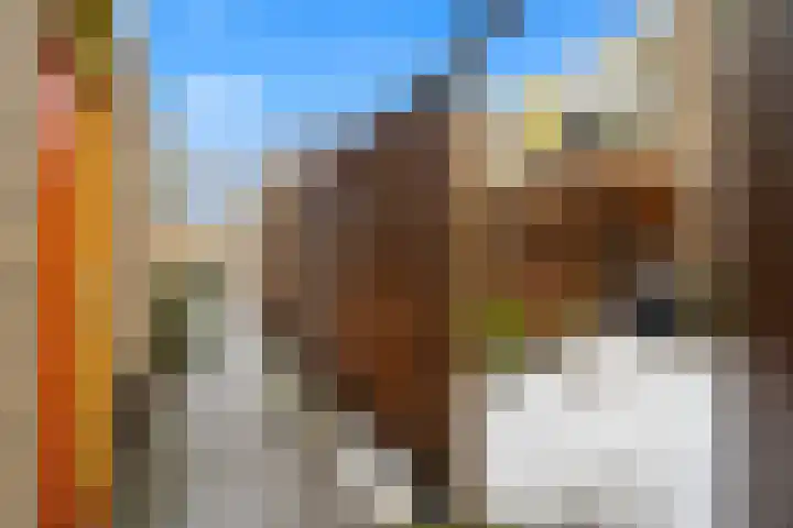 Lauwerecht 103 Utrecht thumbnail 27