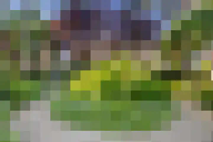 Lauwerecht 103 Utrecht thumbnail 48