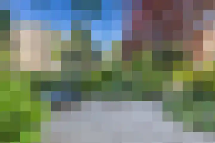 Lauwerecht 103 Utrecht thumbnail 49