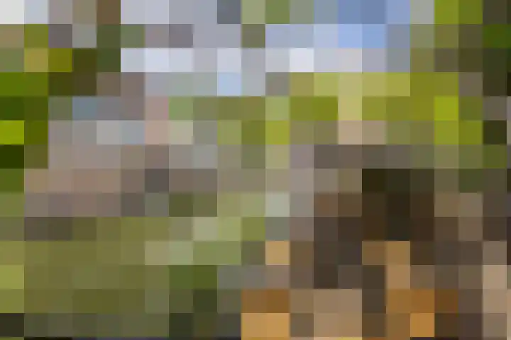 Lauwerecht 103 Utrecht thumbnail 51